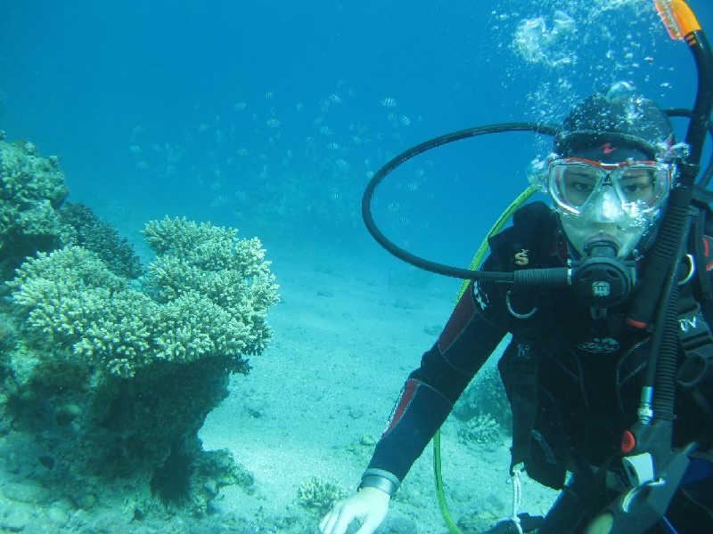 Эйлат(Израиль) декабрь 2008 Эйлат(Израиль) декабрь 2008