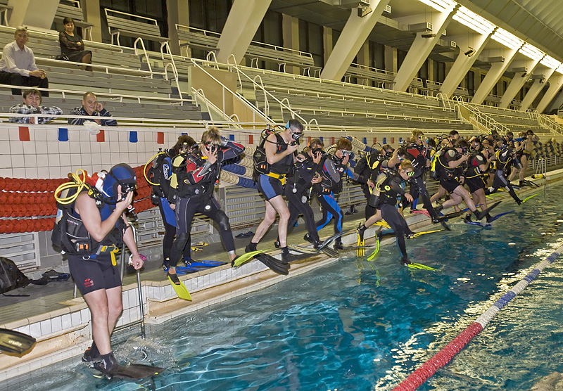 Встреча Нового 2009 года в клубе Белый Тюлень. Встреча Нового 2009 года в клубе Белый Тюлень.