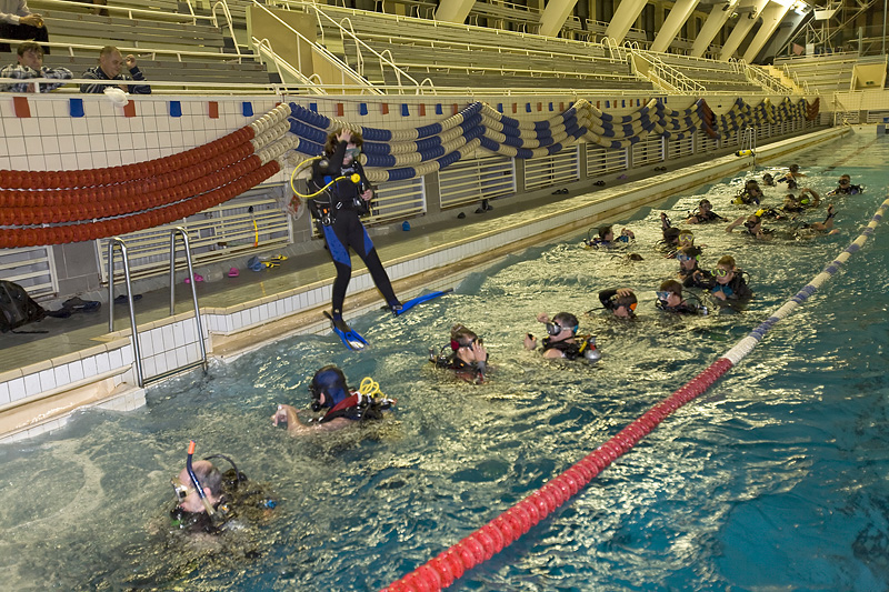 Встреча Нового 2009 года в клубе Белый Тюлень. Встреча Нового 2009 года в клубе Белый Тюлень.