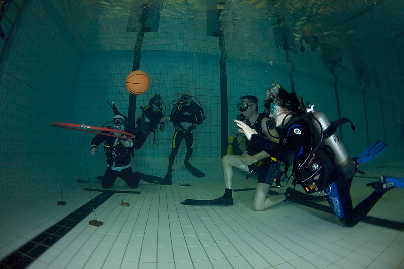 Встреча Нового 2009 года в клубе Белый Тюлень.