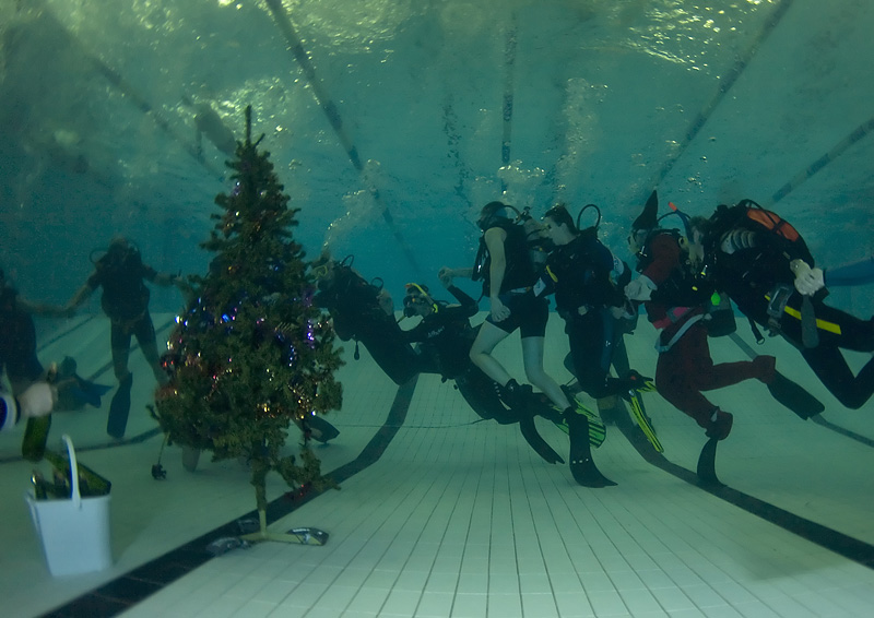 Встреча Нового 2009 года в клубе Белый Тюлень.