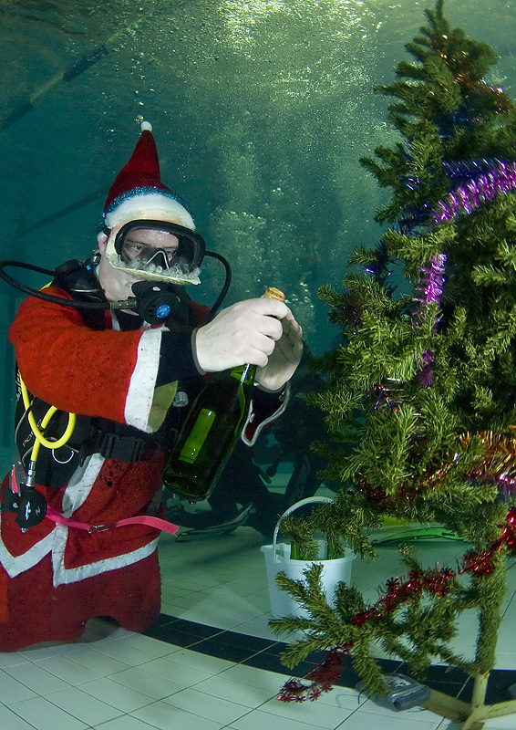 Встреча Нового 2009 года в клубе Белый Тюлень.