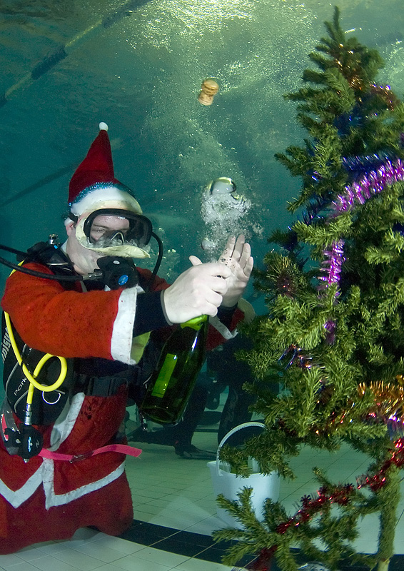 Встреча Нового 2009 года в клубе Белый Тюлень. Встреча Нового 2009 года в клубе Белый Тюлень.