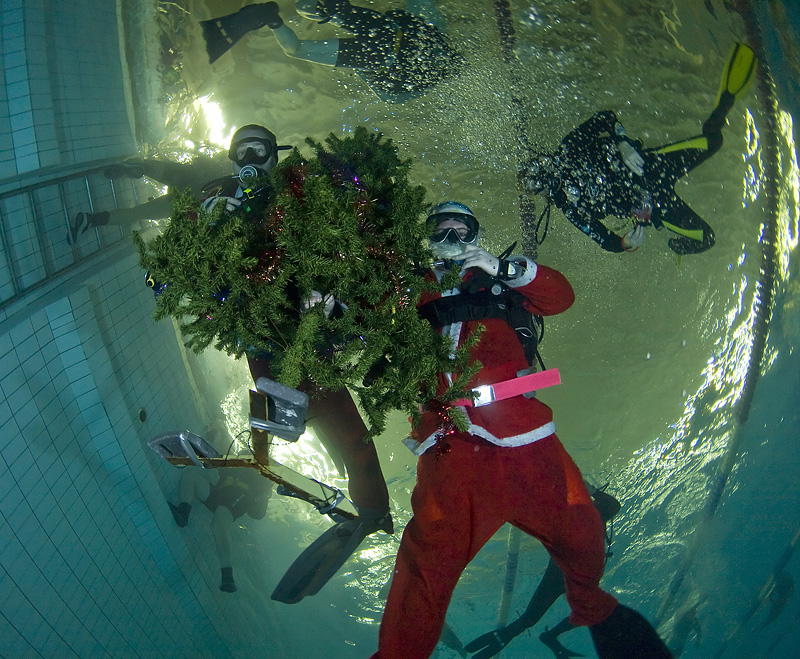 Встреча Нового 2009 года в клубе Белый Тюлень. Встреча Нового 2009 года в клубе Белый Тюлень.