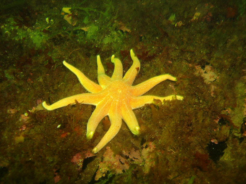 Белое море 2.08.06-7.08.06 Белое море 2.08.06-7.08.06