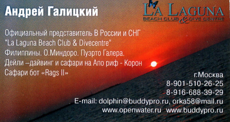 Визитка Андрея Галицкого Визитка Андрея Галицкого