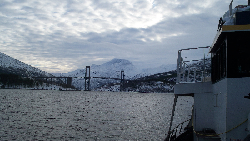 Нарвик. Минисафари Нарвик. Минисафари