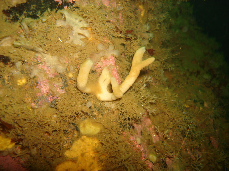 Белое море 2.08.06-7.08.06 Белое море 2.08.06-7.08.06