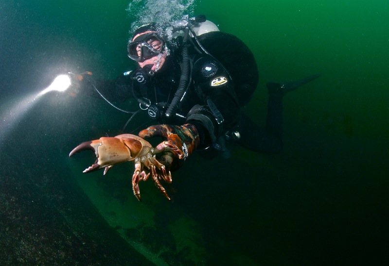 Где-то в Северном море... Где-то в Северном море...