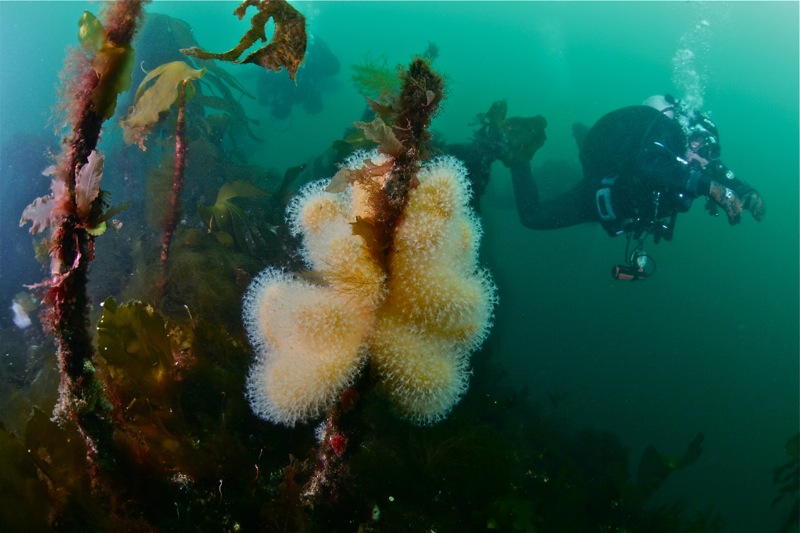 Где-то в Северном море... Где-то в Северном море...