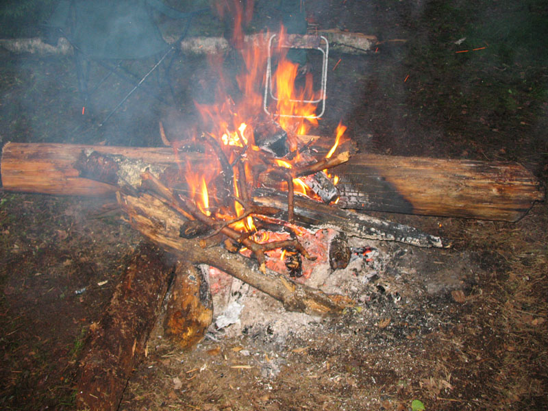 Буша фест 09