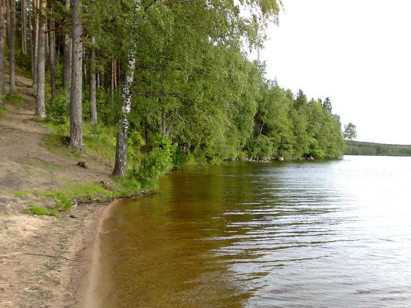 Лен. обл. 21.06.09 оз. Глубокое Лен. обл. 21.06.09 оз. Глубокое