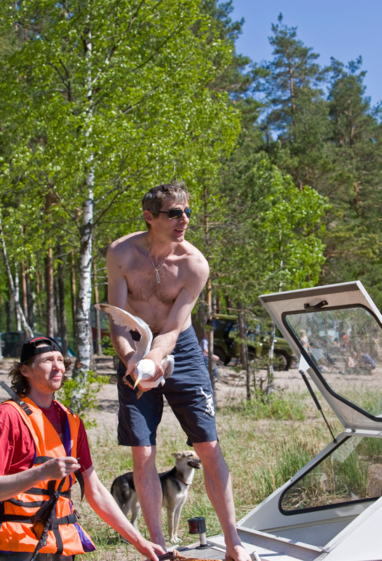 Воробьево озеро. 2009 Воробьево озеро. 2009