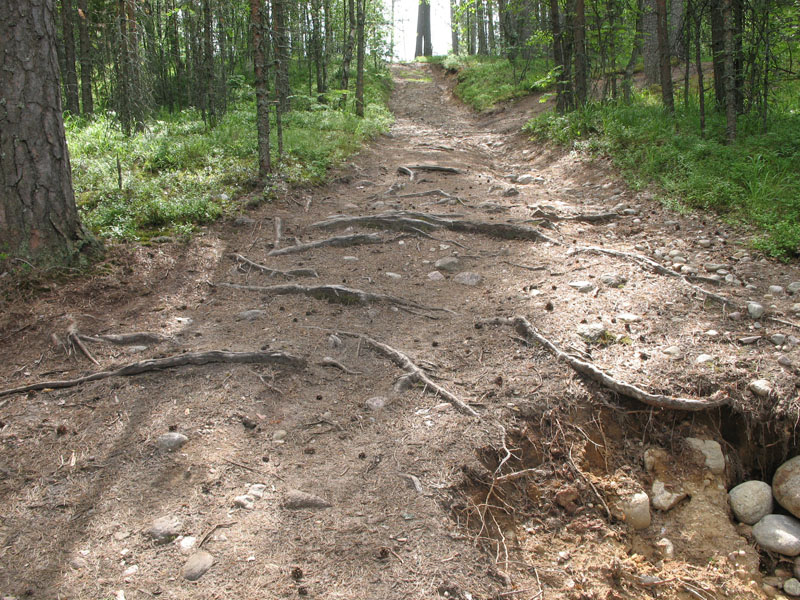 оз Воробьёво 09