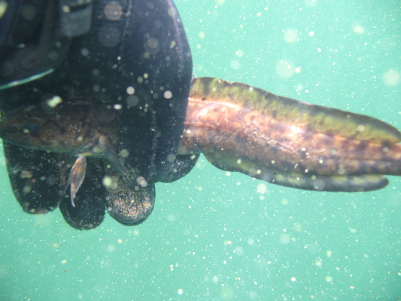 оз Воробьёво 09