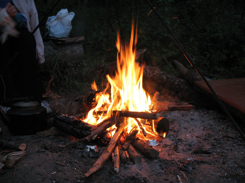Волчье логово