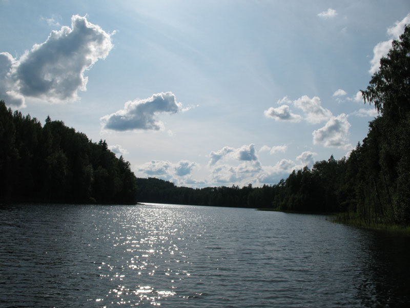 Волчье логово