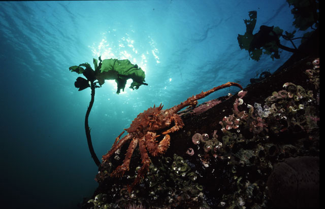 Норвегия-Салтсрёммен_3