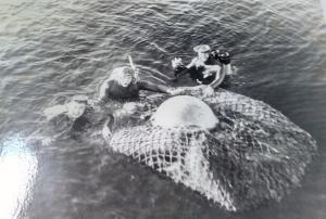 Установка подводной палатки на плантации ламинарии на Белом море у о. Парусный, Соловецкие острова.
Фото Владимира Кухтарова, 198... г. Установка подводной палатки на плантации ламинарии на Белом море у о. Парусный, Соловецкие острова.
Фото Владимира Кухтарова, 198... г.