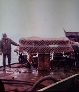 Подводная палатка, сделанная из спасательного плотика (ПСН), перед установкой на плантации ламинарии на Белом море у о. Парусный, Соловецкие острова.
Фото Владимира Кухтарова, 198... г. Подводная палатка, сделанная из спасательного плотика (ПСН), перед установкой на плантации ламинарии на Белом море у о. Парусный, Соловецкие острова.
Фото Владимира Кухтарова, 198... г.